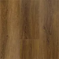 MetaReno Images