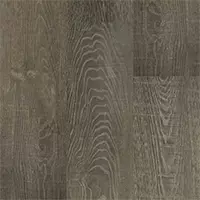 MetaReno Images
