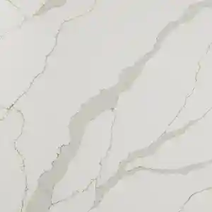 MetaReno Images