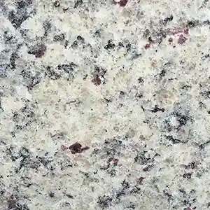 MetaReno Images