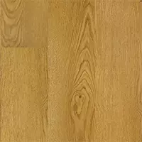 MetaReno Images